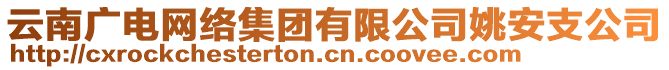 云南廣電網(wǎng)絡(luò)集團(tuán)有限公司姚安支公司