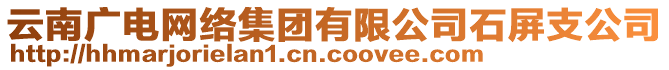 云南廣電網(wǎng)絡(luò)集團(tuán)有限公司石屏支公司