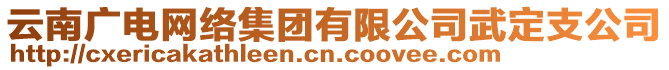 云南廣電網(wǎng)絡(luò)集團(tuán)有限公司武定支公司