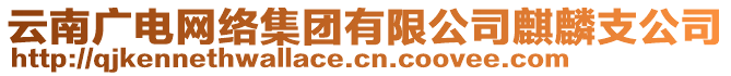 云南廣電網(wǎng)絡(luò)集團(tuán)有限公司麒麟支公司