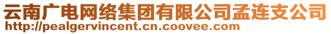 云南廣電網(wǎng)絡(luò)集團有限公司孟連支公司