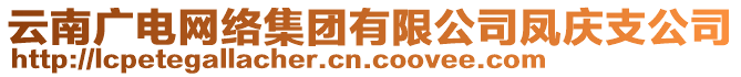 云南广电网络集团有限公司凤庆支公司