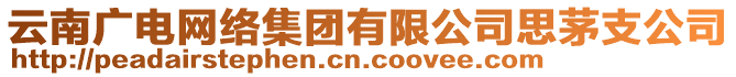 云南廣電網(wǎng)絡(luò)集團有限公司思茅支公司