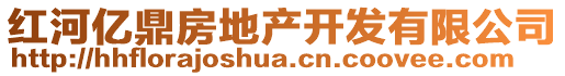 紅河億鼎房地產(chǎn)開(kāi)發(fā)有限公司