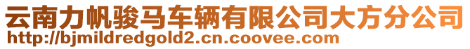 云南力帆駿馬車輛有限公司大方分公司