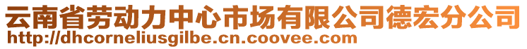 云南省劳动力中心市场有限公司德宏分公司