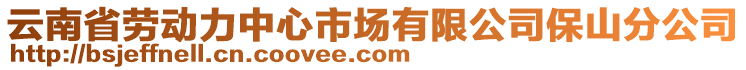 云南省劳动力中心市场有限公司保山分公司