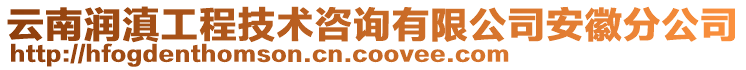 云南潤滇工程技術(shù)咨詢有限公司安徽分公司