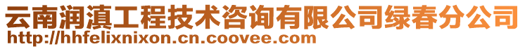 云南潤滇工程技術(shù)咨詢有限公司綠春分公司