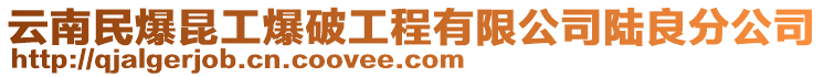 云南民爆昆工爆破工程有限公司陸良分公司