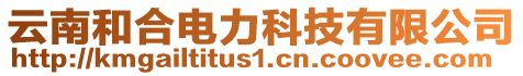 云南和合電力科技有限公司