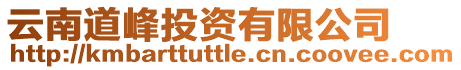 云南道峰投資有限公司