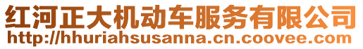 紅河正大機動車服務有限公司