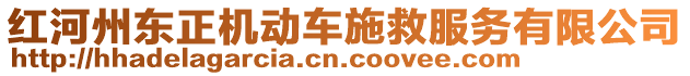紅河州東正機(jī)動(dòng)車施救服務(wù)有限公司