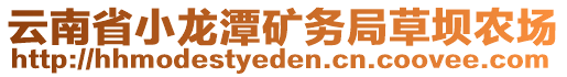 云南省小龍?zhí)兜V務(wù)局草壩農(nóng)場