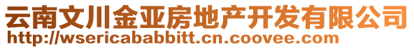 云南文川金亞房地產(chǎn)開發(fā)有限公司