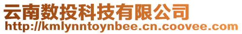 云南數(shù)投科技有限公司