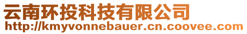 云南環(huán)投科技有限公司