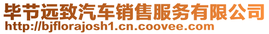 畢節(jié)遠(yuǎn)致汽車銷售服務(wù)有限公司