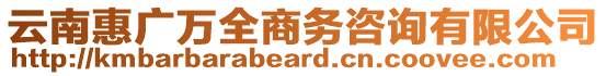 云南惠廣萬全商務(wù)咨詢有限公司