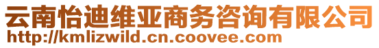 云南怡迪維亞商務咨詢有限公司