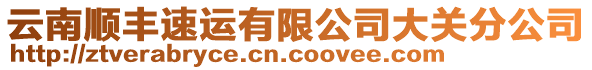 云南順豐速運有限公司大關(guān)分公司