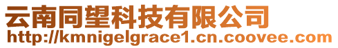 云南同望科技有限公司