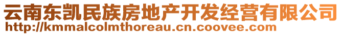 云南東凱民族房地產(chǎn)開發(fā)經(jīng)營有限公司