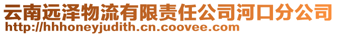 云南遠澤物流有限責任公司河口分公司