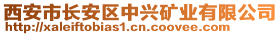 西安市长安区中兴矿业有限公司