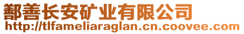 鄯善長安礦業(yè)有限公司