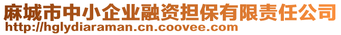 麻城市中小企業(yè)融資擔(dān)保有限責(zé)任公司