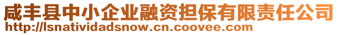 咸豐縣中小企業(yè)融資擔(dān)保有限責(zé)任公司