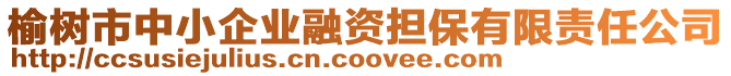 榆樹市中小企業(yè)融資擔(dān)保有限責(zé)任公司