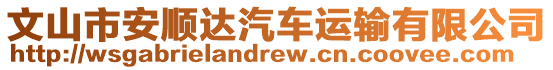 文山市安順達(dá)汽車運輸有限公司