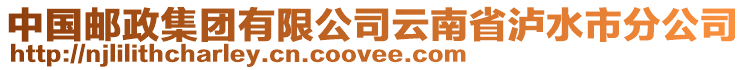 中國郵政集團有限公司云南省瀘水市分公司