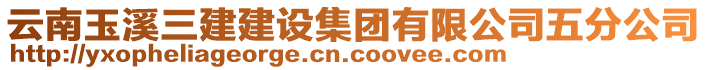 云南玉溪三建建設(shè)集團(tuán)有限公司五分公司