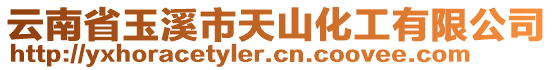 云南省玉溪市天山化工有限公司