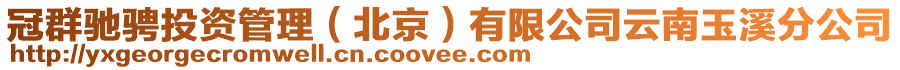 冠群馳騁投資管理（北京）有限公司云南玉溪分公司