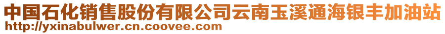 中國石化銷售股份有限公司云南玉溪通海銀豐加油站