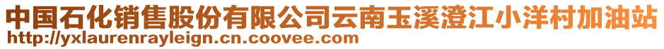 中國(guó)石化銷(xiāo)售股份有限公司云南玉溪澄江小洋村加油站