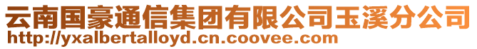 云南國(guó)豪通信集團(tuán)有限公司玉溪分公司