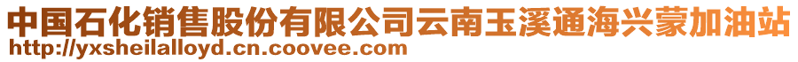 中國(guó)石化銷售股份有限公司云南玉溪通海興蒙加油站