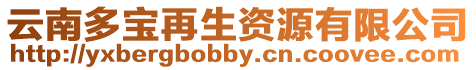 云南多寶再生資源有限公司