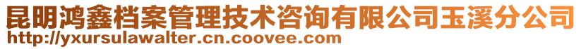 昆明鴻鑫檔案管理技術咨詢有限公司玉溪分公司