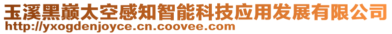 玉溪黑巔太空感知智能科技應(yīng)用發(fā)展有限公司