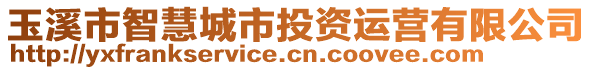 玉溪市智慧城市投資運(yùn)營(yíng)有限公司