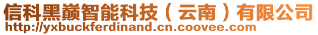 信科黑巔智能科技（云南）有限公司