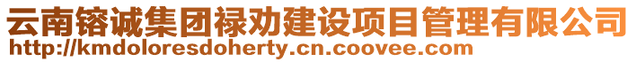 云南镕誠(chéng)集團(tuán)祿勸建設(shè)項(xiàng)目管理有限公司