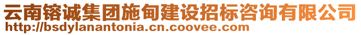 云南镕誠(chéng)集團(tuán)施甸建設(shè)招標(biāo)咨詢有限公司